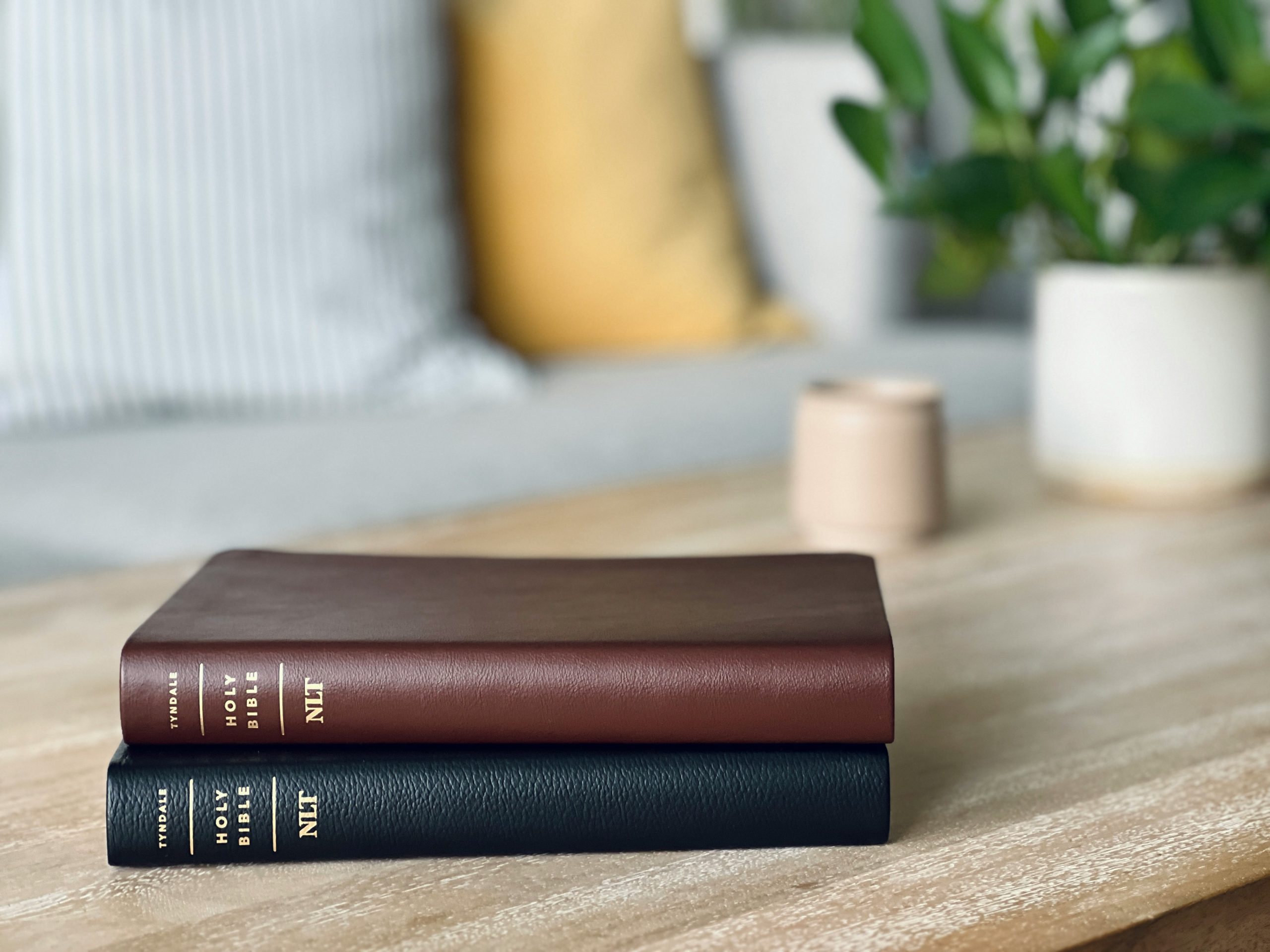 tim-wildsmith-BphQhlNA6mk-unsplash