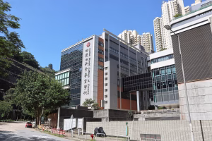 圣方济各大学学院